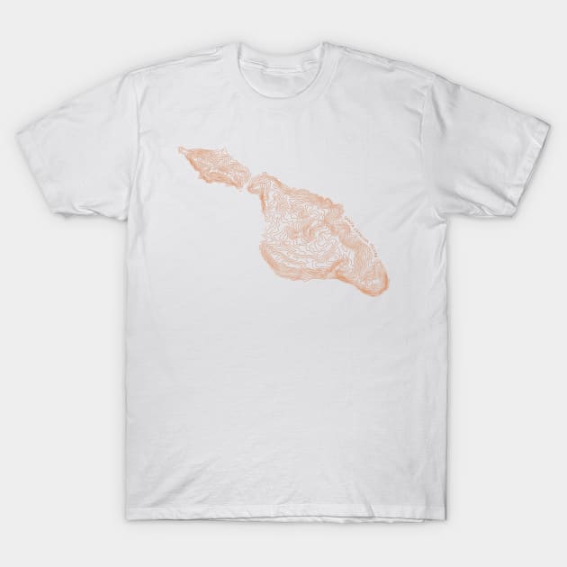 Santa Catalina Island T-Shirt by simplistictees